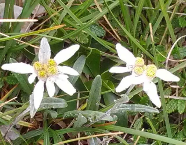 La Verde Valle Отель типа 